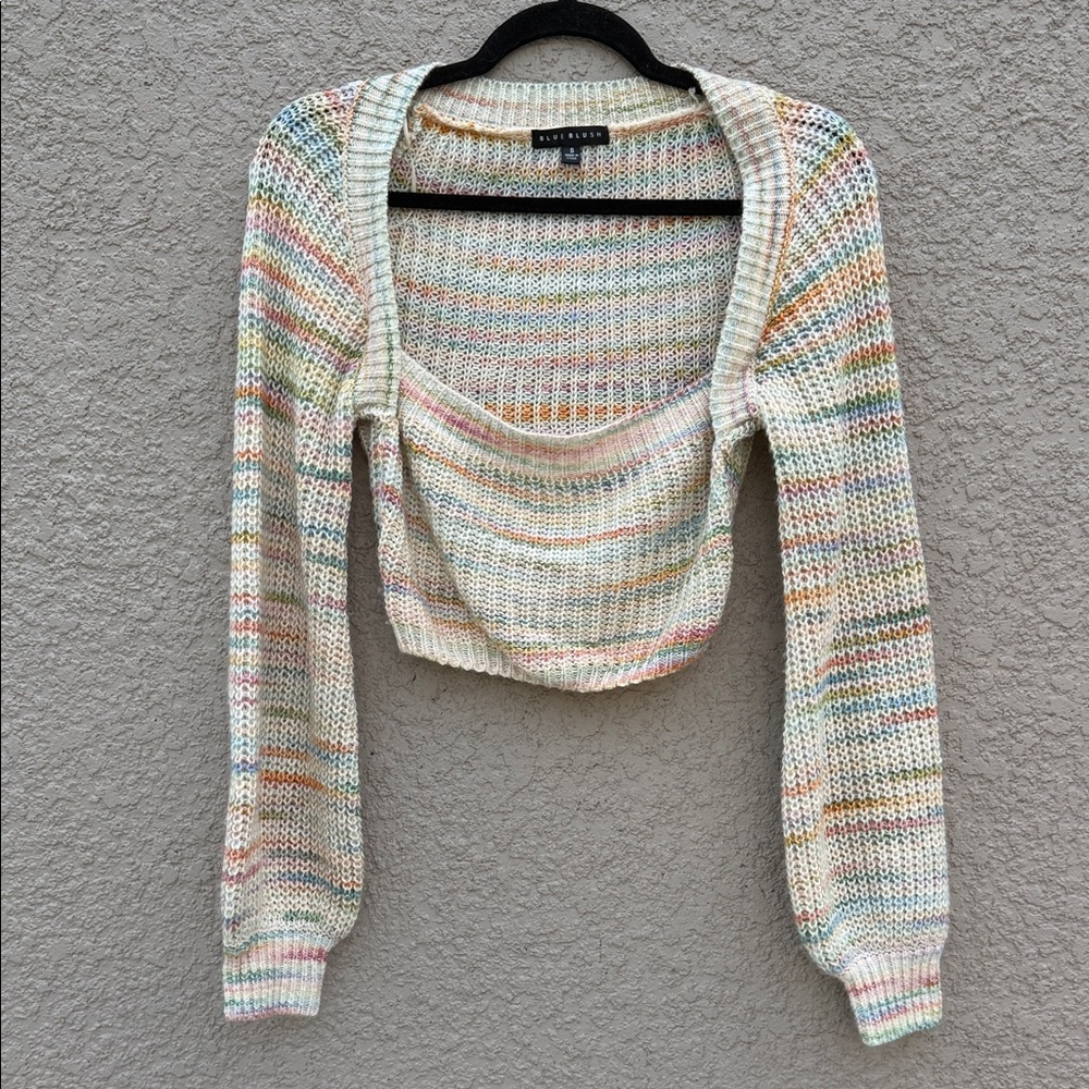 Blue blush Multicolor Knit Cropped Sweater